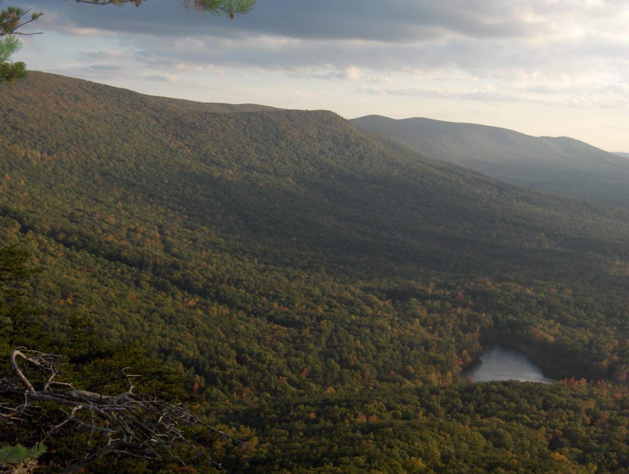 History - Talladega National Forest