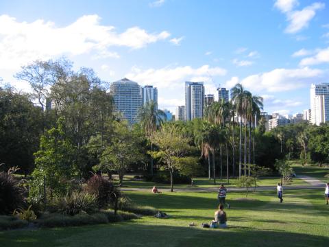 Brisbane City Botanic Gardens