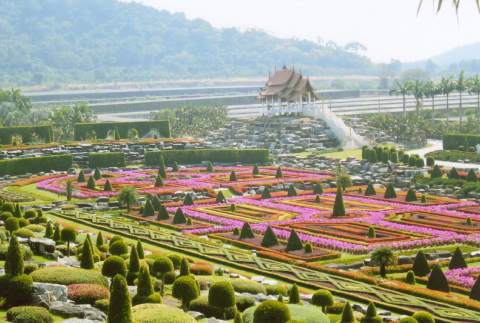 Nong Nooch Tropical Botanical Garden