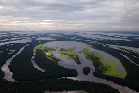 Anavilhanas National Park