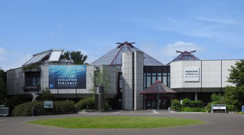 Aquazoo Löbbecke Museum