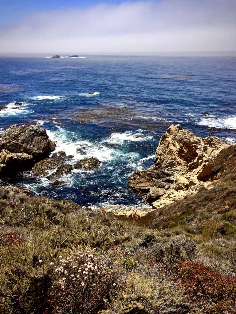 Garrapata State Park