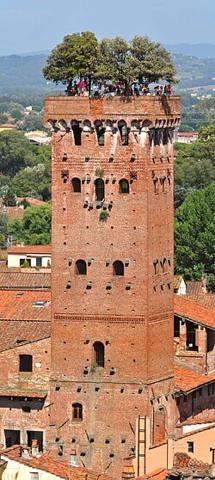 Torre Guinigi
