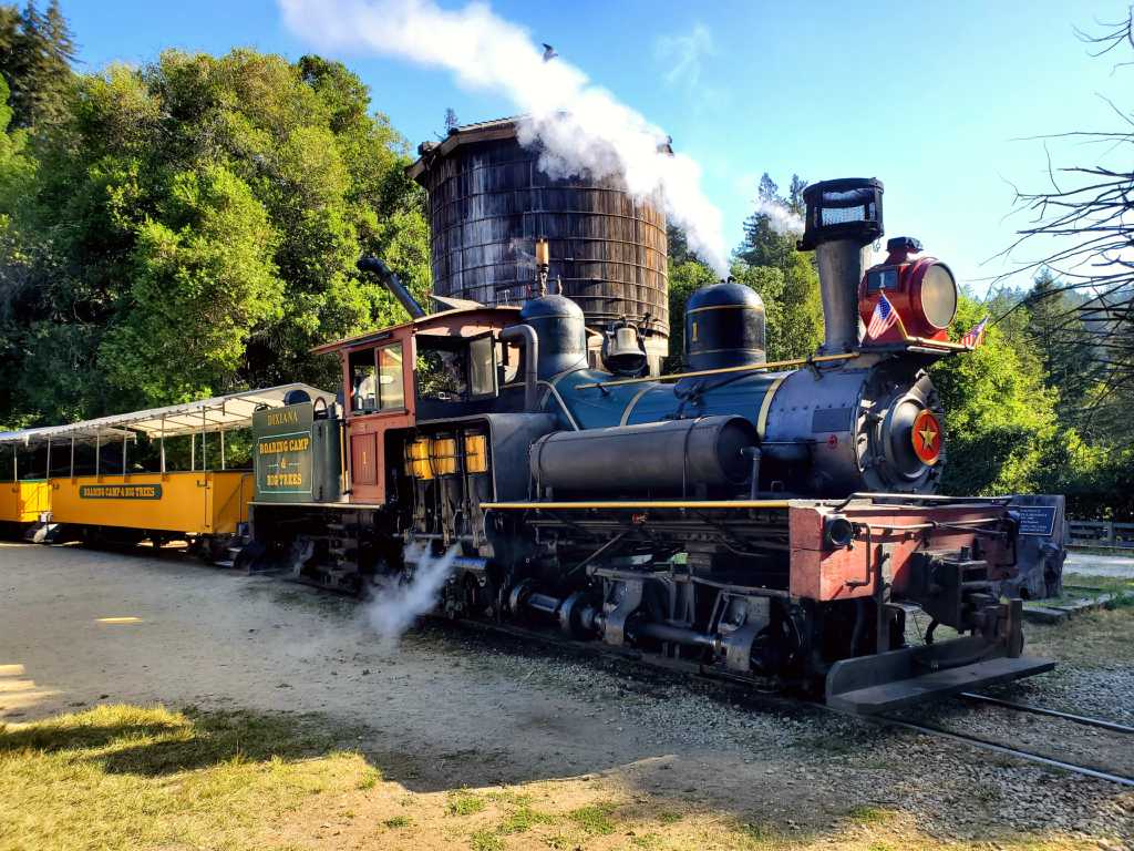 Roaring Camp Railroads