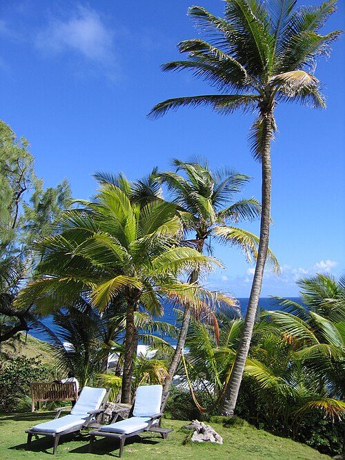 Nature's Power at Bathsheba Beach
