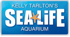 Kelly Tarlton's Sea Life Aquarium