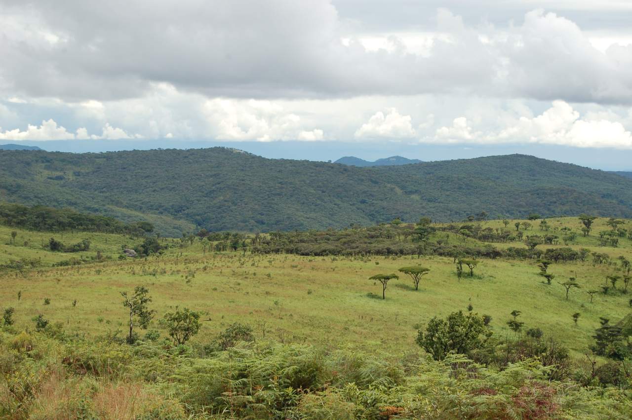 Malawi