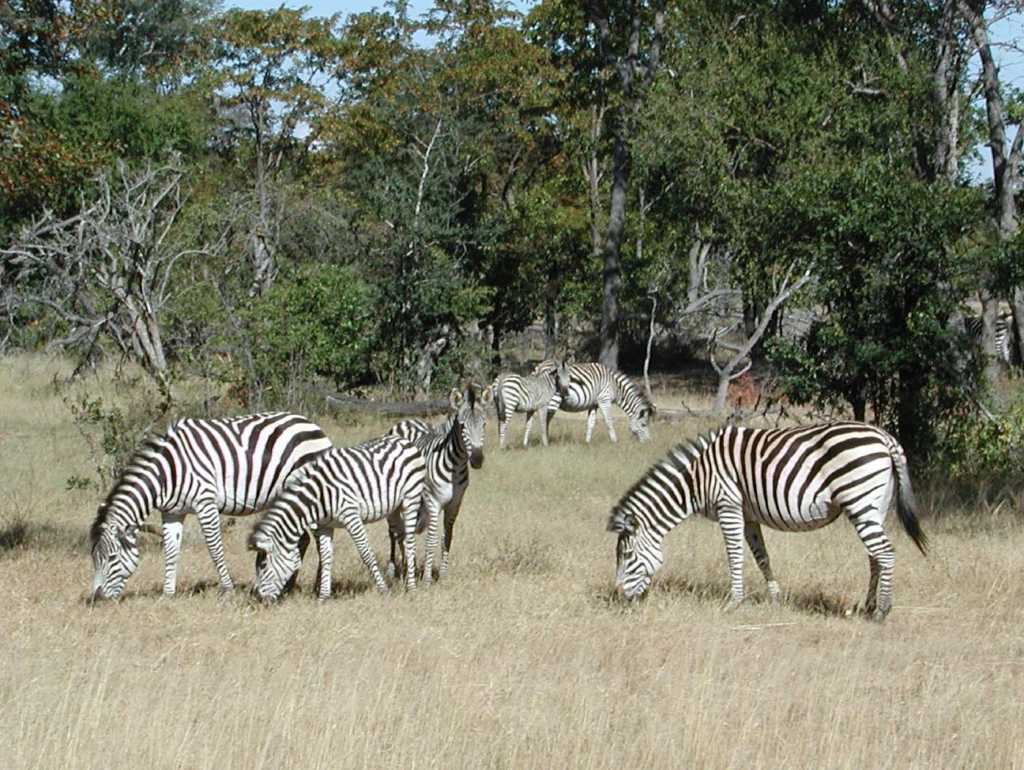 Namibia