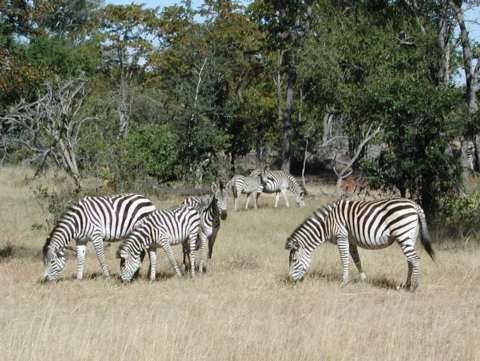 Namibia