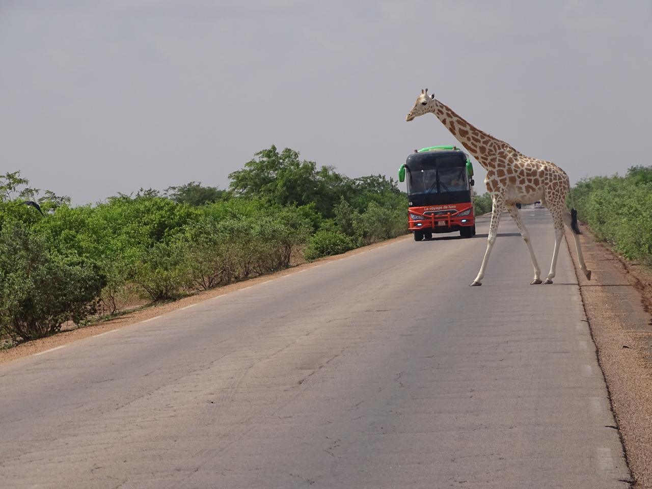 Niger