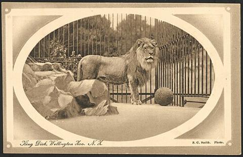 Wellington Zoo