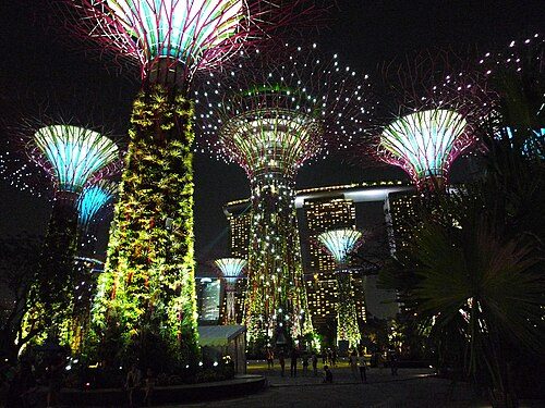 Supertrees at Gardens by the Bay, at night.