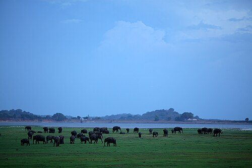 Sri Lanka