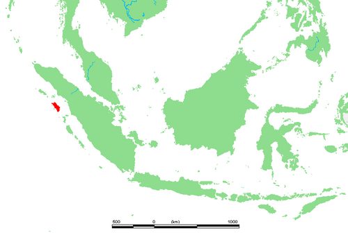 Geschichte - Nias Island