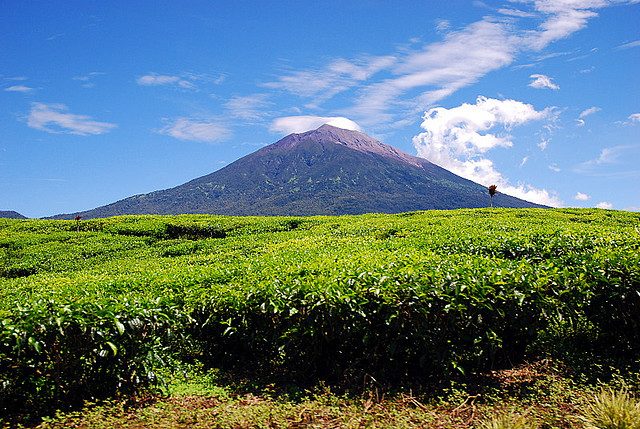 历史 - Kerinci Seblat National Park