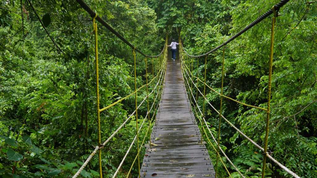 Kutai National Park