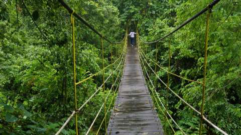 Kutai National Park