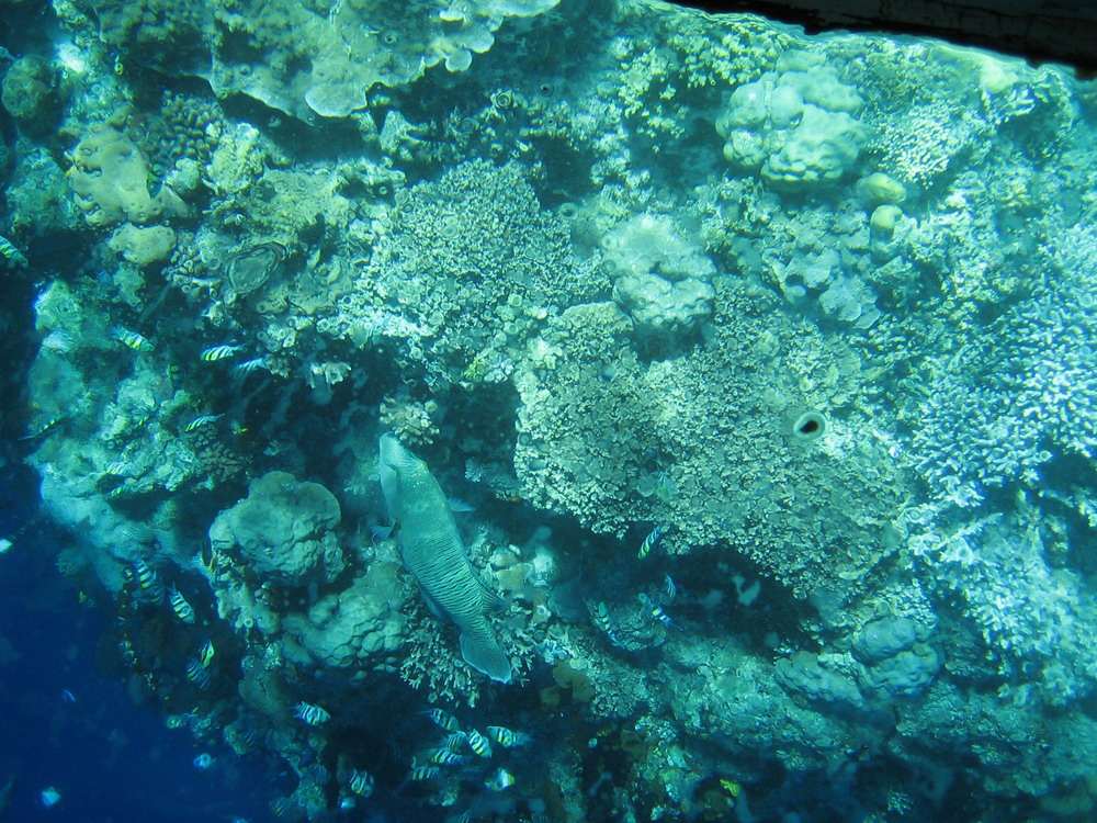 History - Bunaken