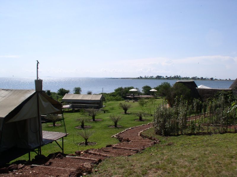 Ngamba Island Chimpanzee Sanctuary