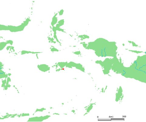 Saparua
