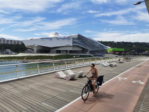 Musee des Confluences