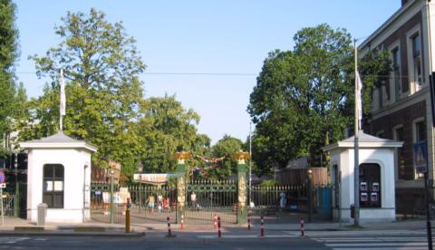 Artis Zoo