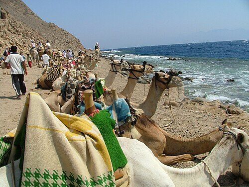 Dahab