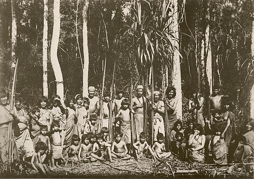 Local traditions - Paraná