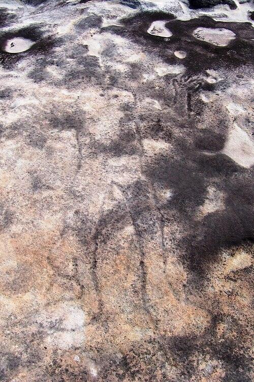 History - New South Wales