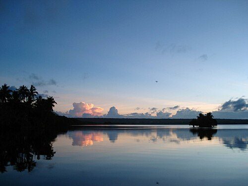 Nature's Tranquil Oasis