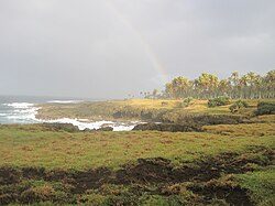 Tanna Island