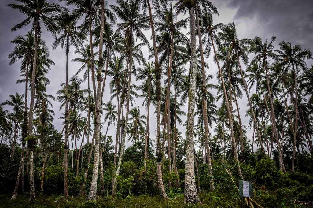 History - Pentecost Island