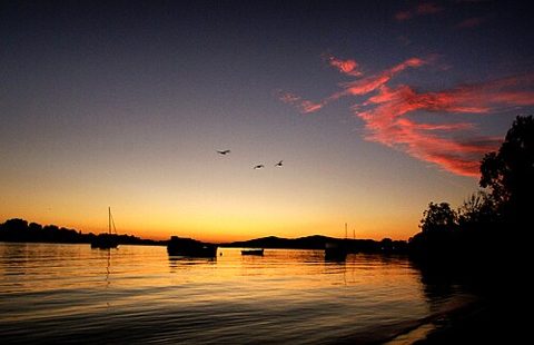 Noosa