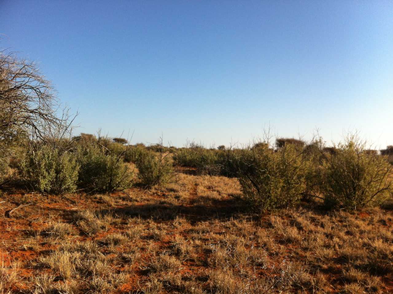 历史 - Northern Cape