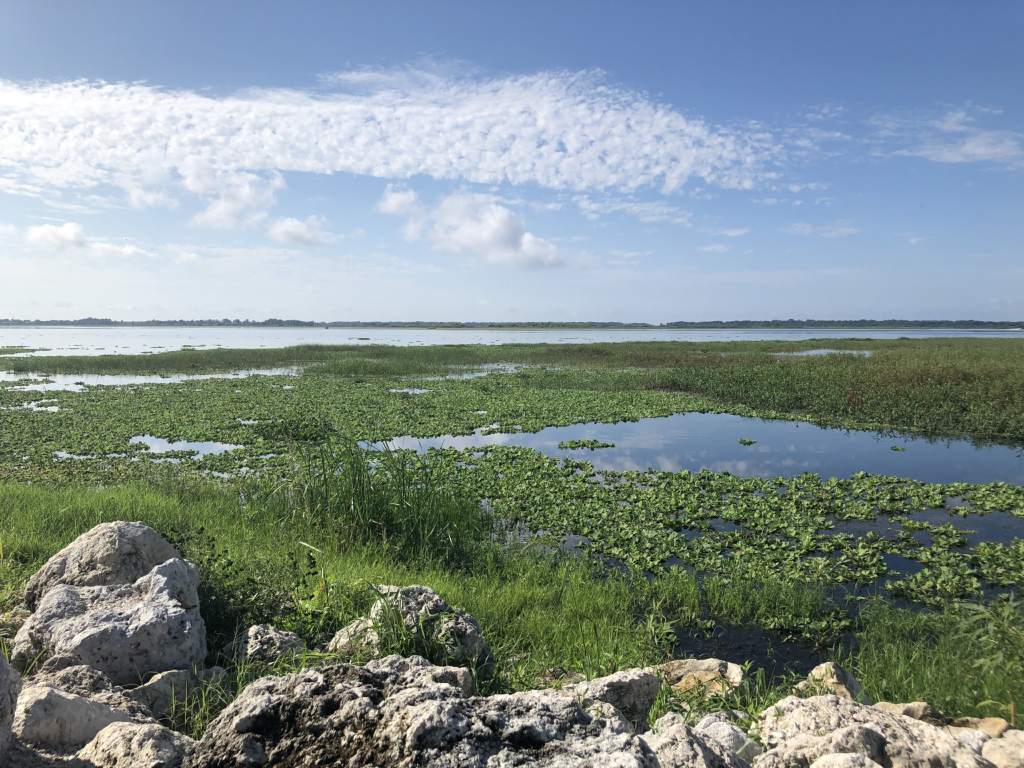 Lake Tohopekaliga