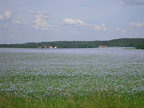 History - Östergötland