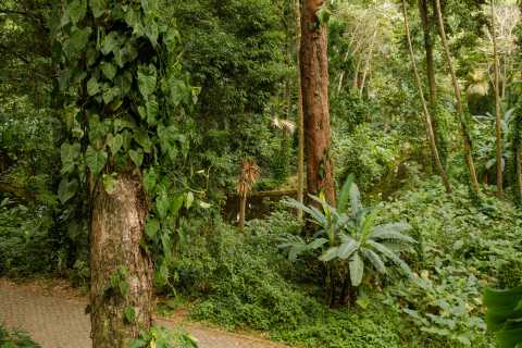 Parque Lage