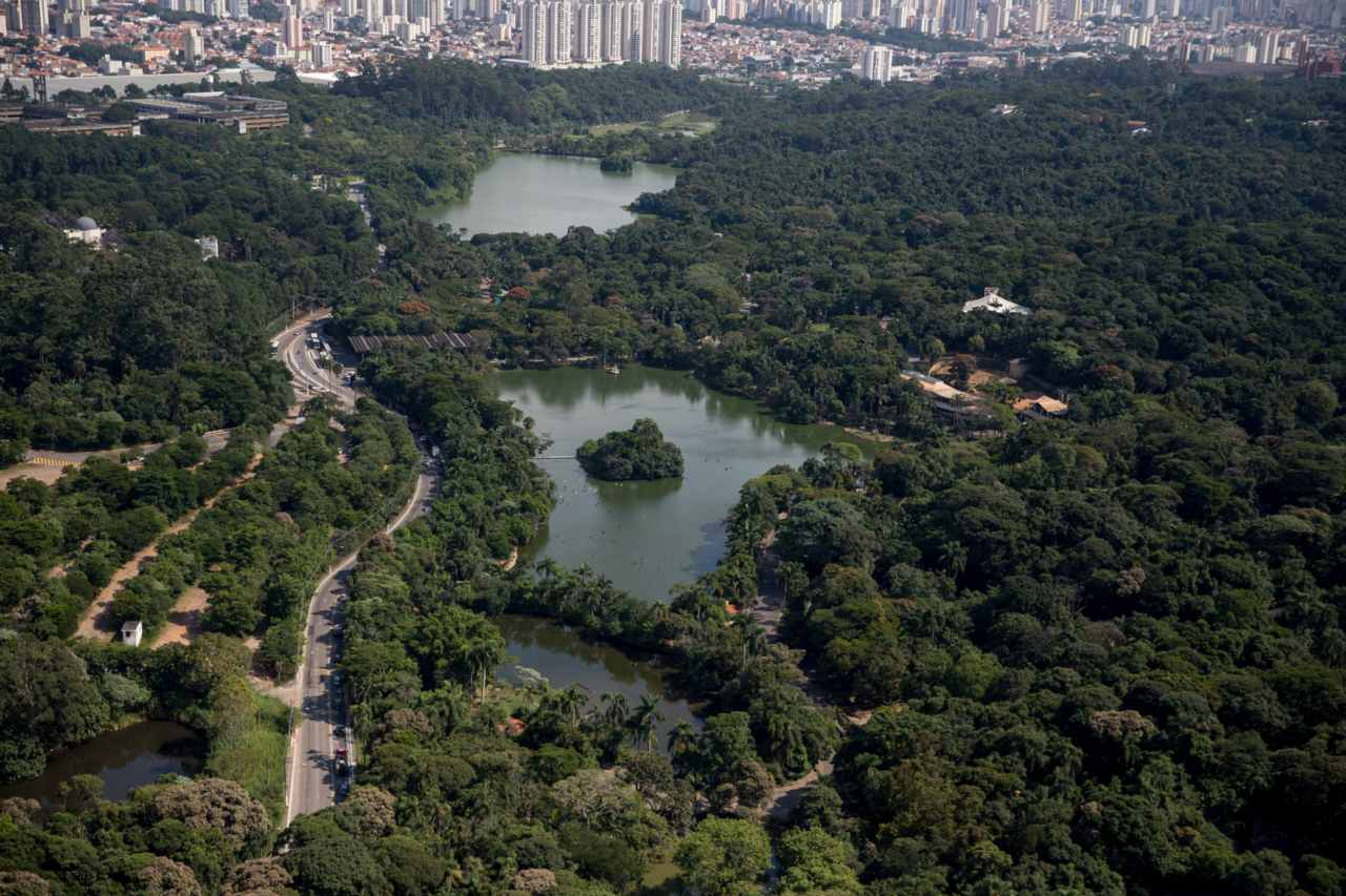 São Paulo Zoo