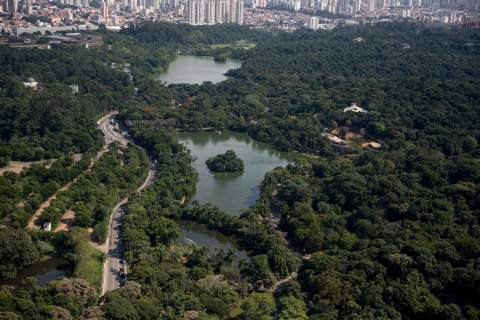 São Paulo Zoo
