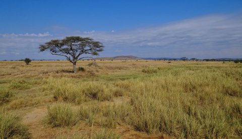 Serengeti National Park