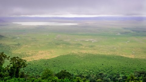 Ngorongoro Crater