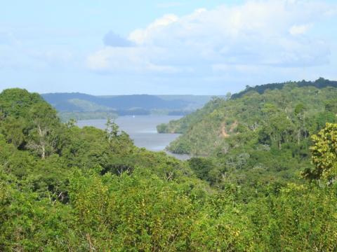 Rio Jari
