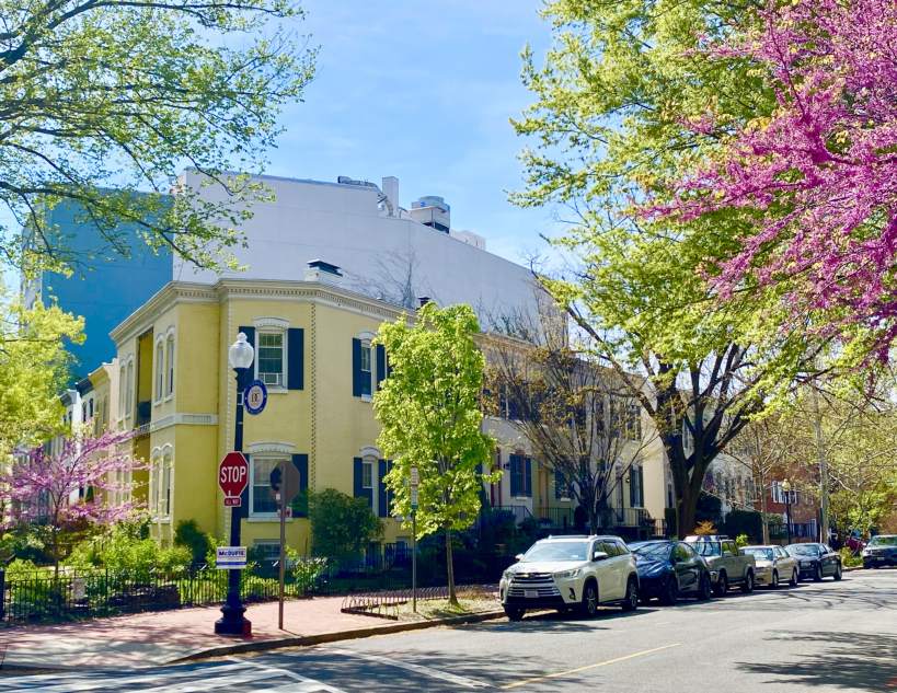Foggy Bottom