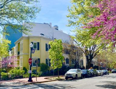 Foggy Bottom