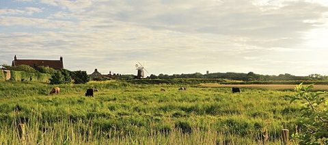 Norfolk