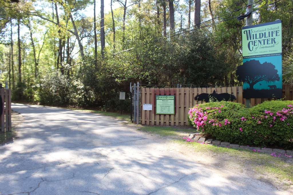 Oatland Island Wildlife Center