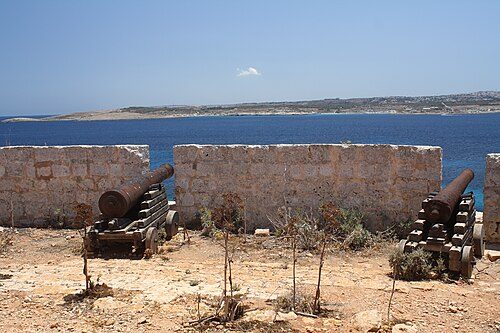 Two retrieved cannons at the Saint Mary's Battery