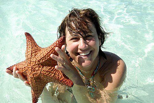 Tourism is a crucial branch of the economy of the area.