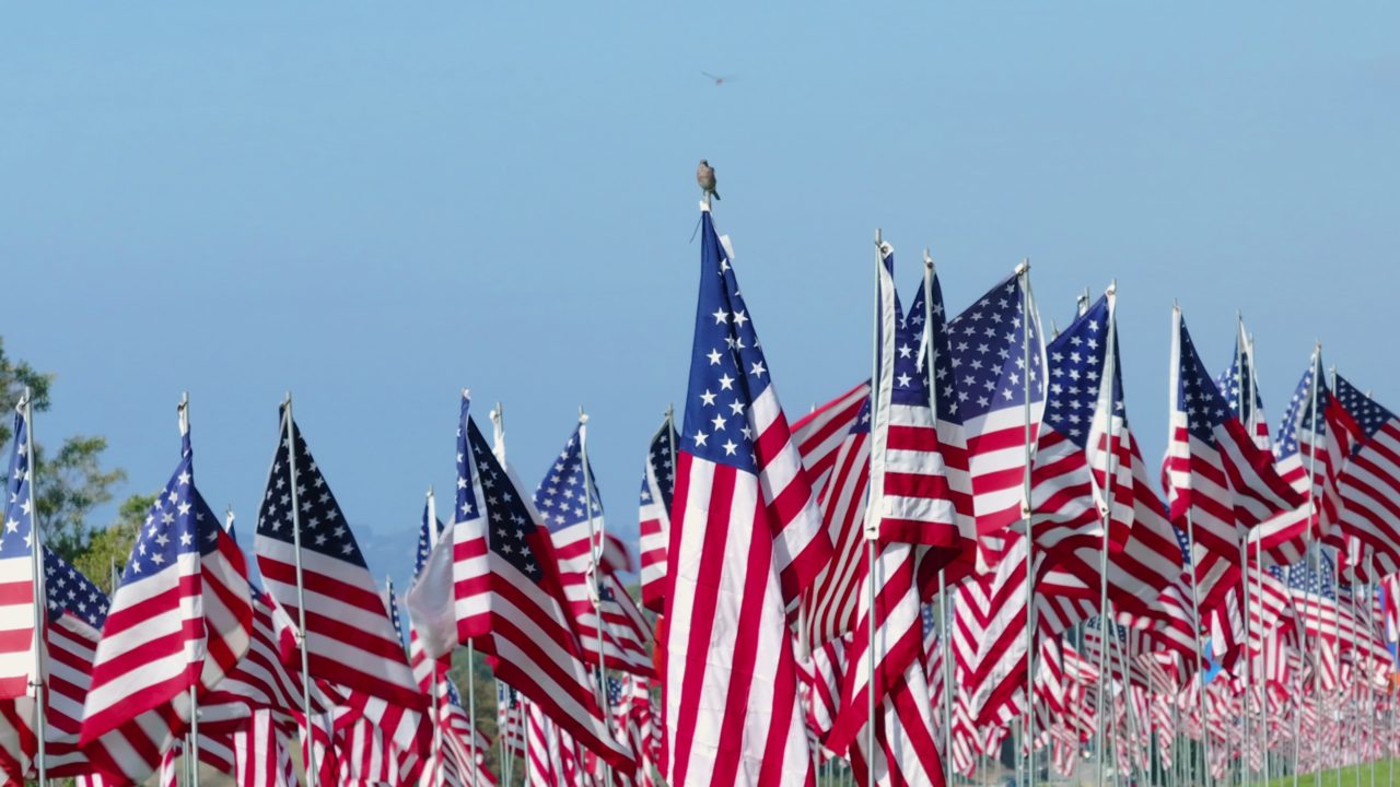 History - United States
