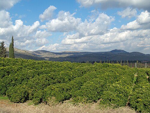 Galilee